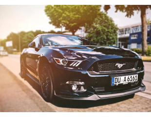 Ipsum cursus vestibulum at interdum Vivamus