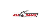 All Balls Racing